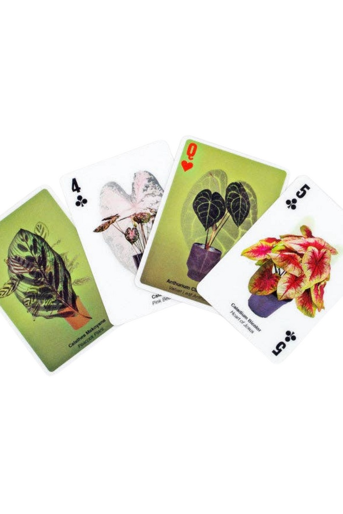 Kikkerland-3D-Plant-Playing-Cards