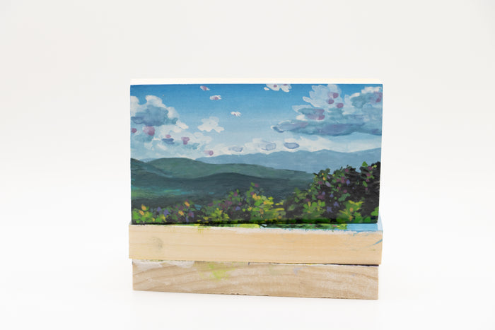 Blue Ridge Mountains (0862)