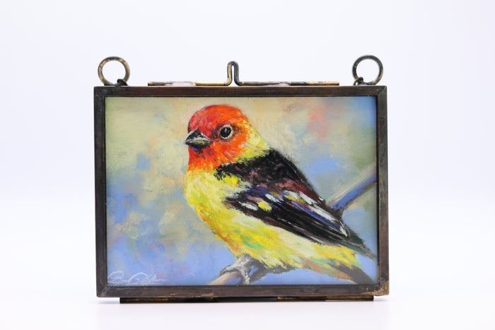 Western Tanager