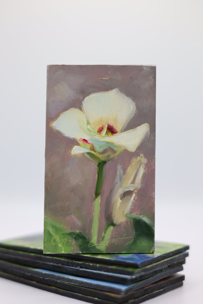 Sego Lily