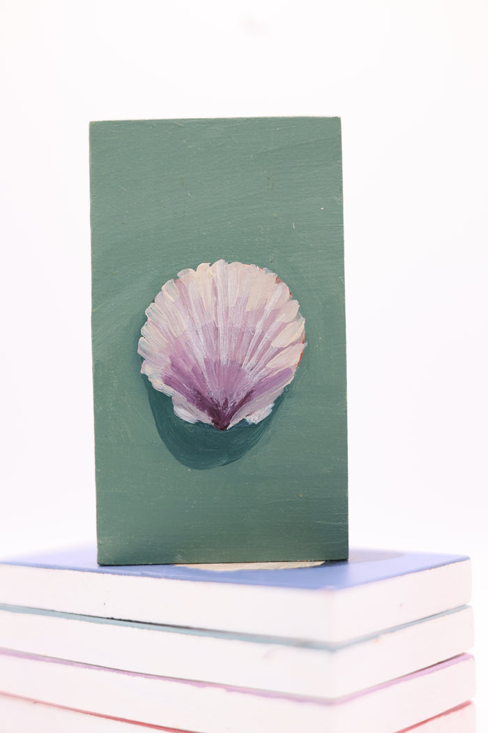 Scallop Shell