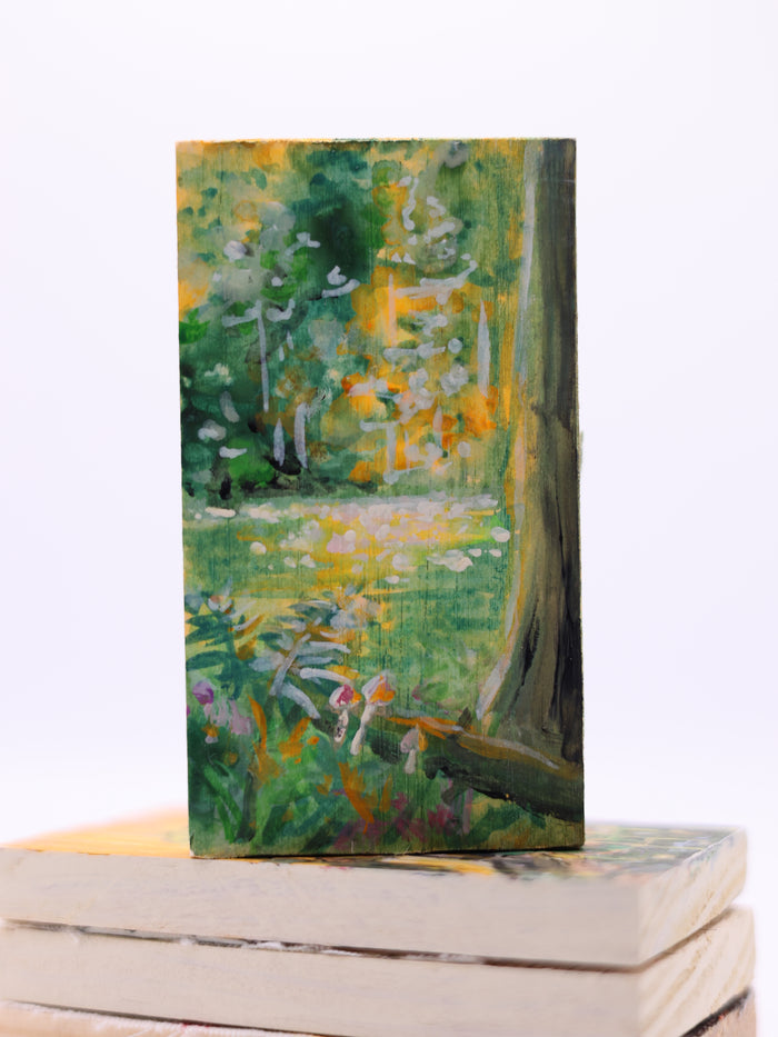 The Light Between the Trees
