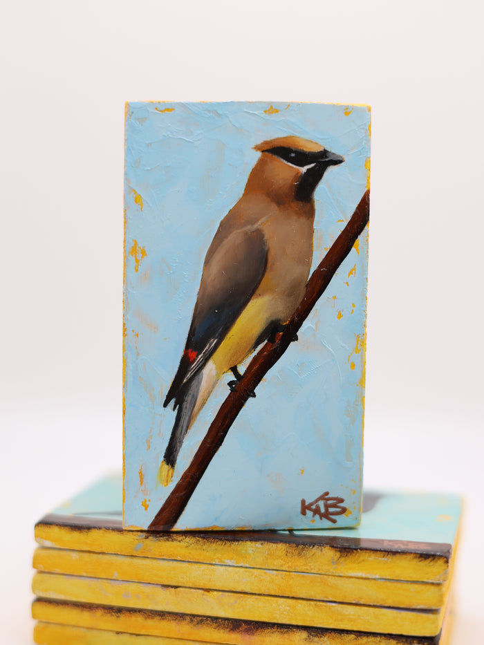 Cedar Waxwing