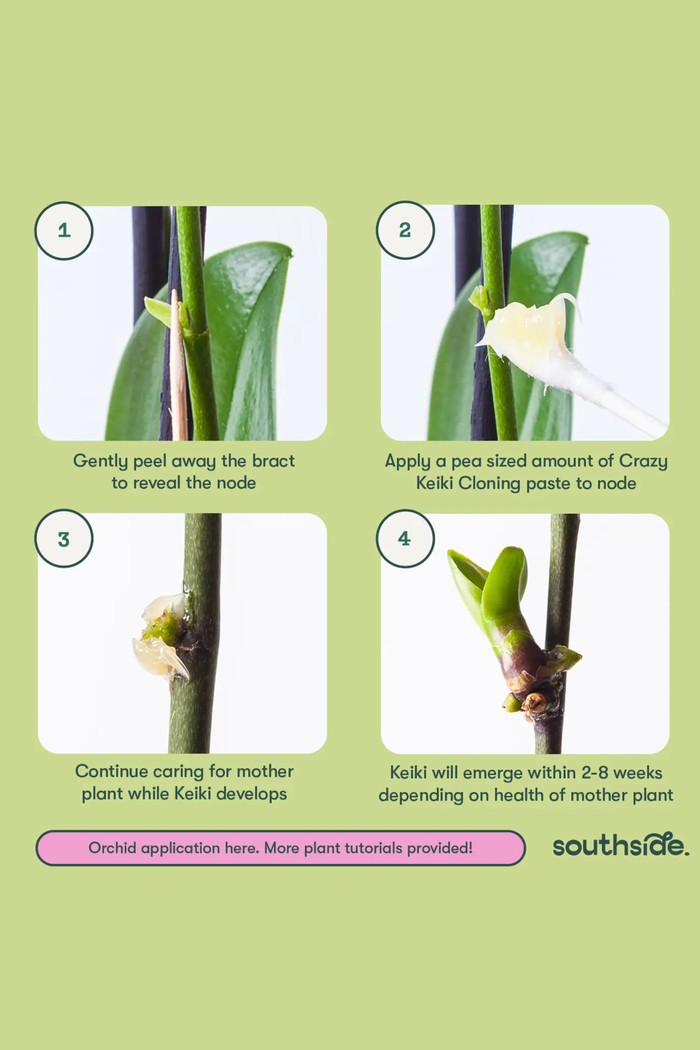 Southside-Crazy-Keiki-Cloning-Paste