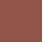 FACES CANADA Comfy Matte Liquid Lipstick - Spill The Tea 29, 3.8 ml | Comfortable 10HR Longstay | Intense Matte Color | Almond Oil & Vitamin E Infused | Super Smooth | No Dryness | No Alcohol