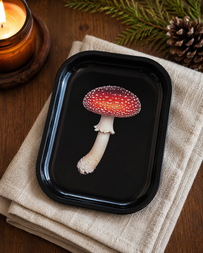 World Buyers - Amanita Mushroom Metal Tray - MT100
