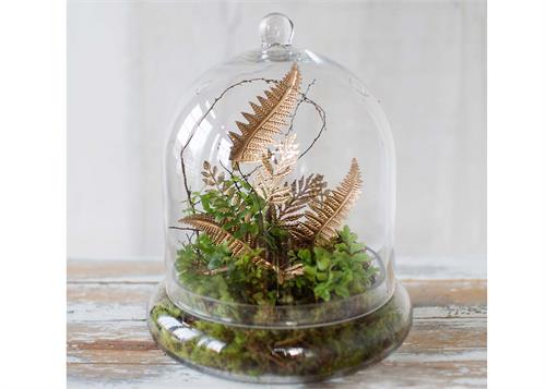 10" x 11 3/8" Terrarium Cloche Glass Cover Dome (1 pieces)