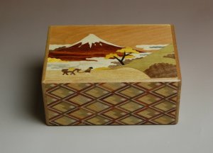 4 Sun 12 Step Fuji Zougan B Japanese Secret Puzzle Box 2