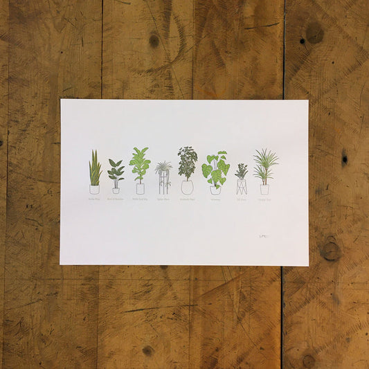 A Few Houseplants Letterpress Print