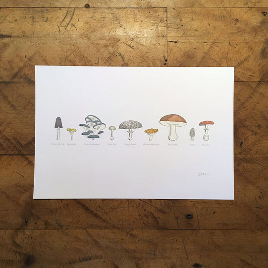 A Few Mushrooms Letterpress Print