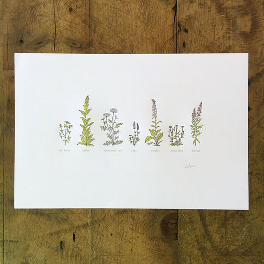 A Few Wildflowers Letterpress Print