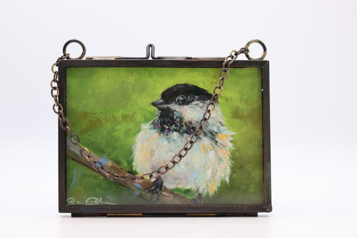 Black-Capped Chickadee