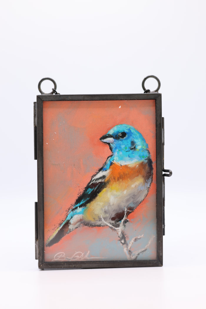 Lazuli Bunting