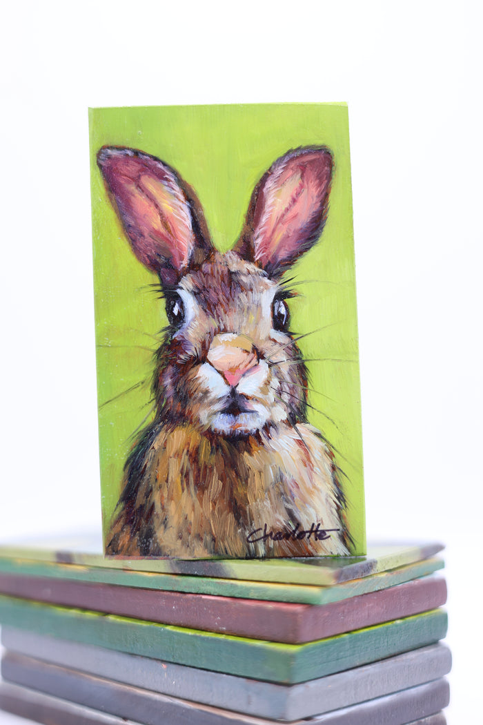 Rabbit