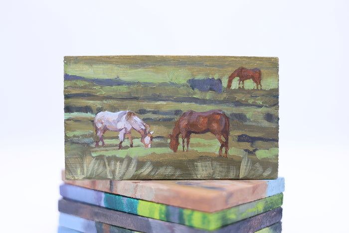 Horse Pasture