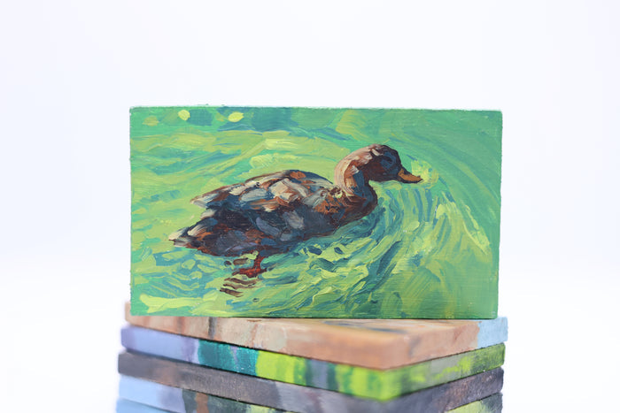 Duck Pond