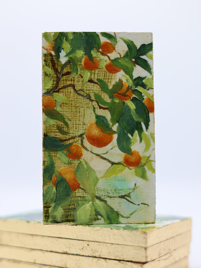 Artwork by Jeanette Millward