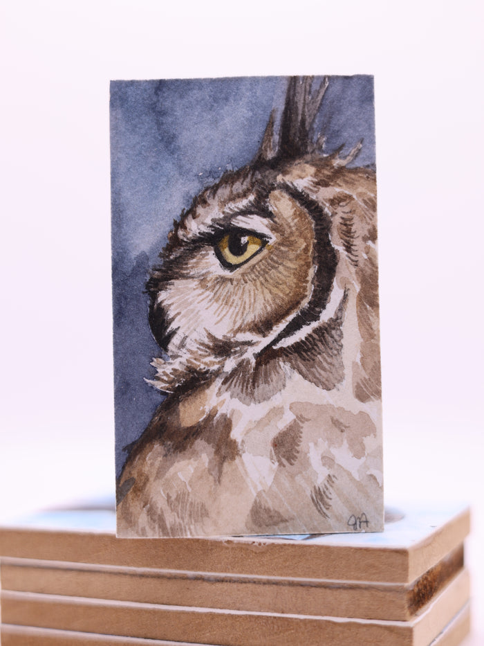 Artwork by Jennifer Anderson