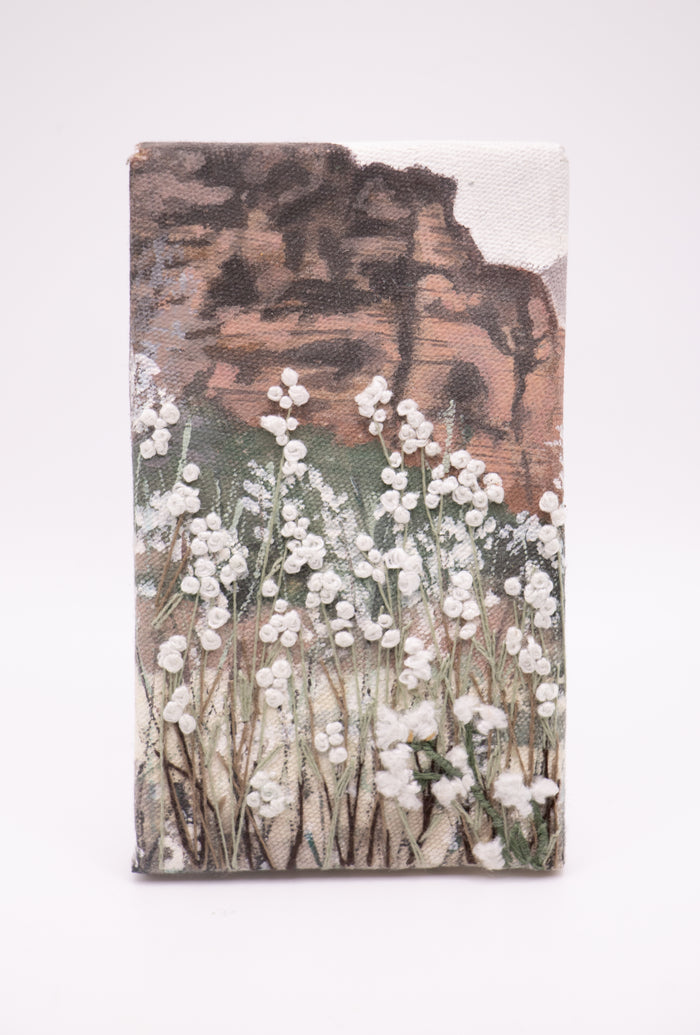 Desert Wildflowers (0074)