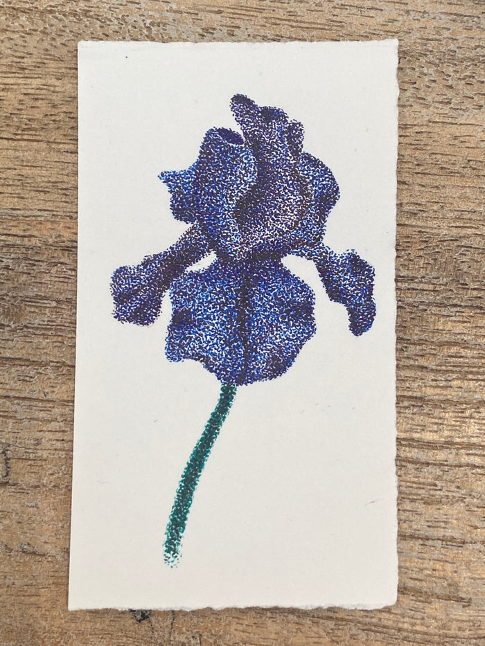 Artwork by Katie Benson