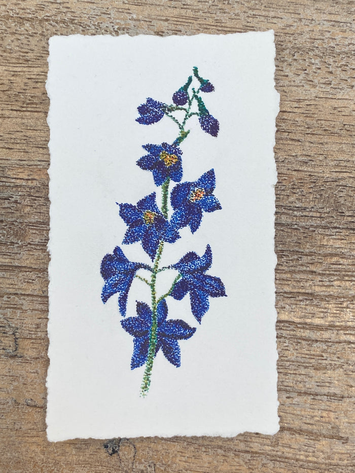 Artwork by Katie Benson