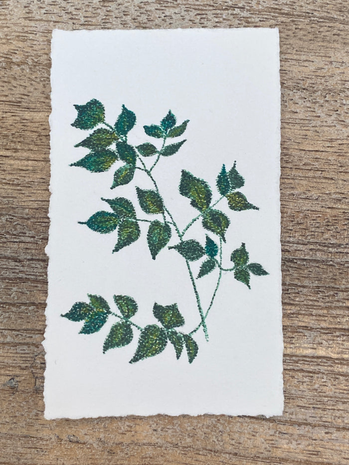 Artwork by Katie Benson
