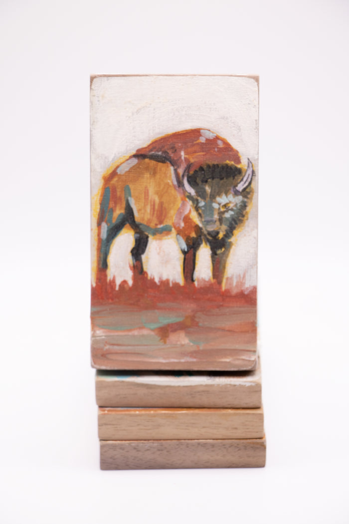 Yellowstone Bison (0193)