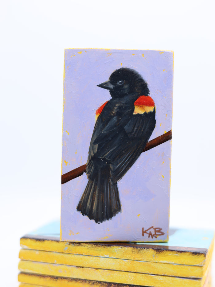 Red-winged Blackbird