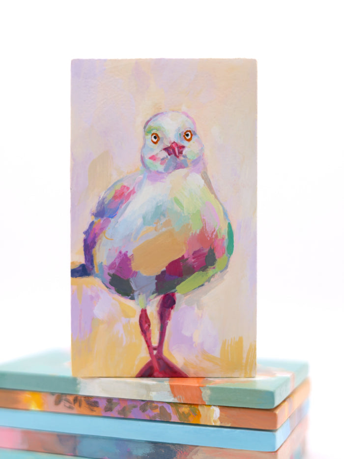 Sunny Seagull