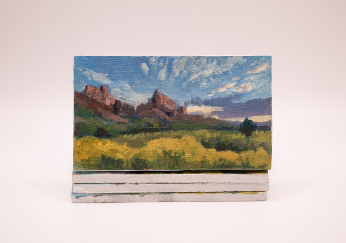 Zion National Park (0388)