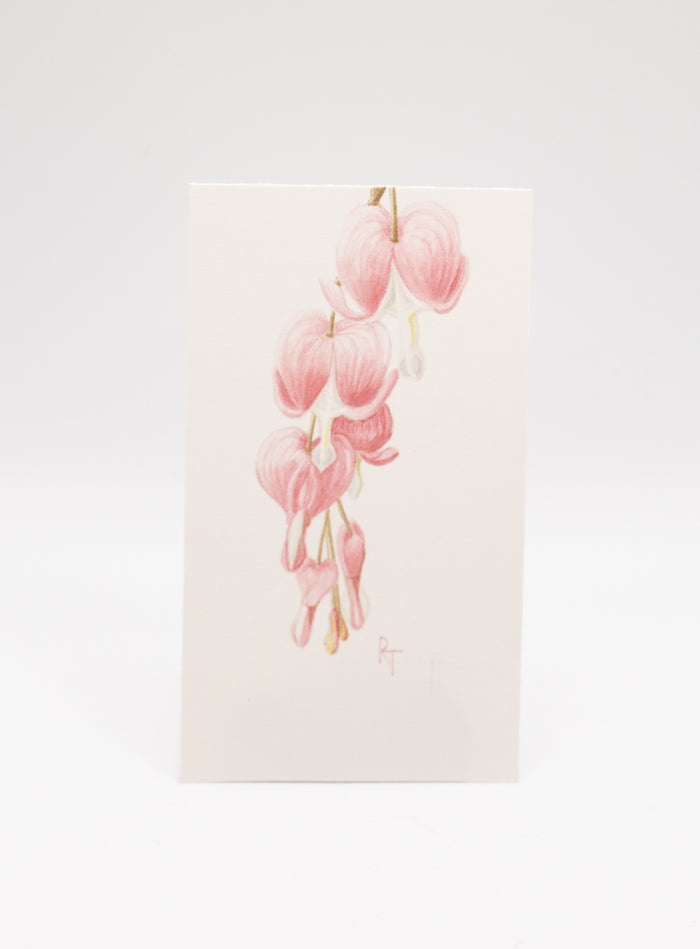 Mini Botanicals: Bleeding Hearts (0065)