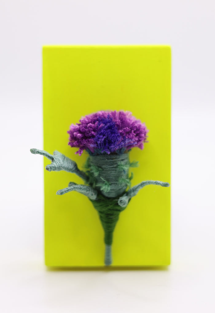 Thistle