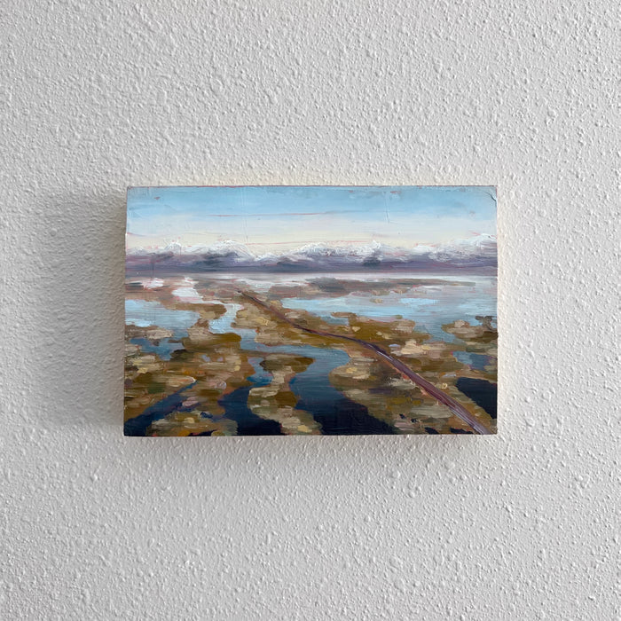 Bear River Meets The Great Salt Lake by Elizabeth Bishop Wheatley