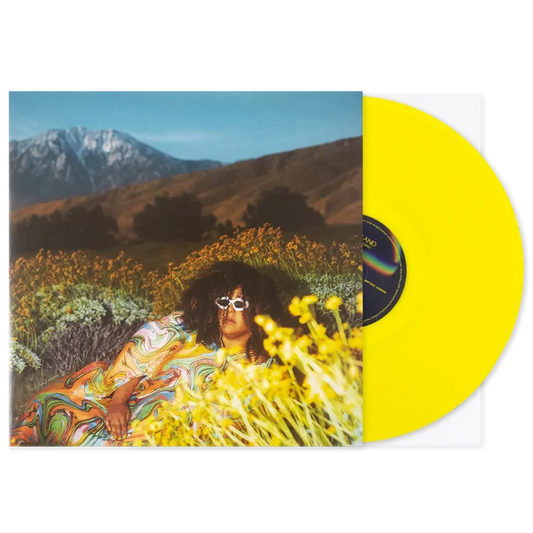 BRITTANY HOWARD WHAT NOW VINYL