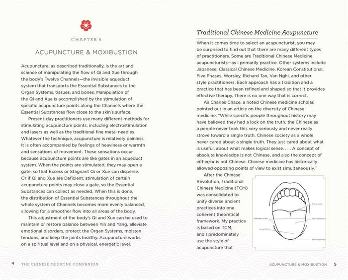 Chinese Medicine Companion: Modern Guide to Ancient Healing
