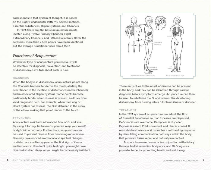 Chinese Medicine Companion: Modern Guide to Ancient Healing