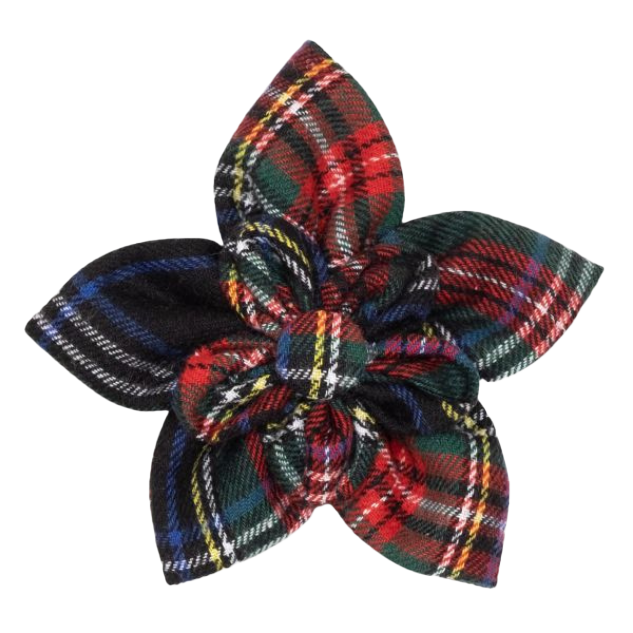 DOG-COLLAR-SLIDER-FLOWER-BLACK-STEWART-PLAID