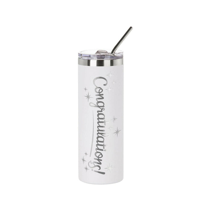 Craft Express 6 Pack Powder Coated Stainless Steel Tumblers with Straw & Lid.