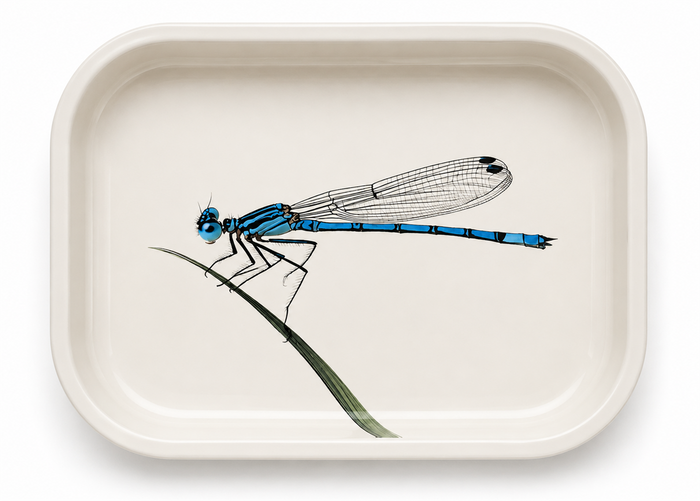 Curious Patterns - Blue Damselfly Metal Tray