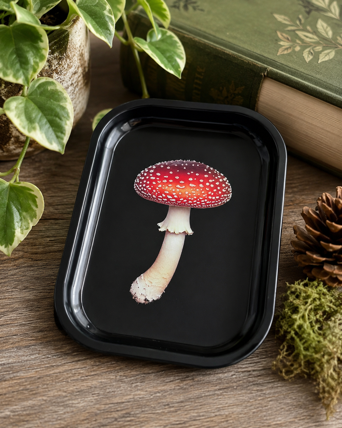Curious Prints - Amanita Mushroom Metal Tray