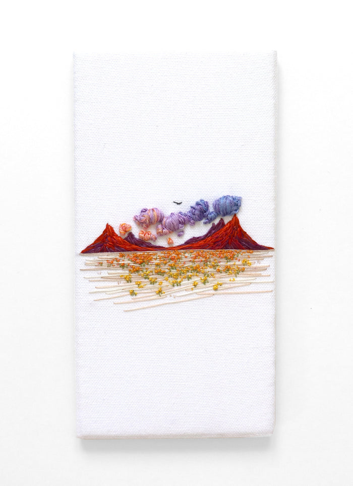 Desert by Carolina Torres
