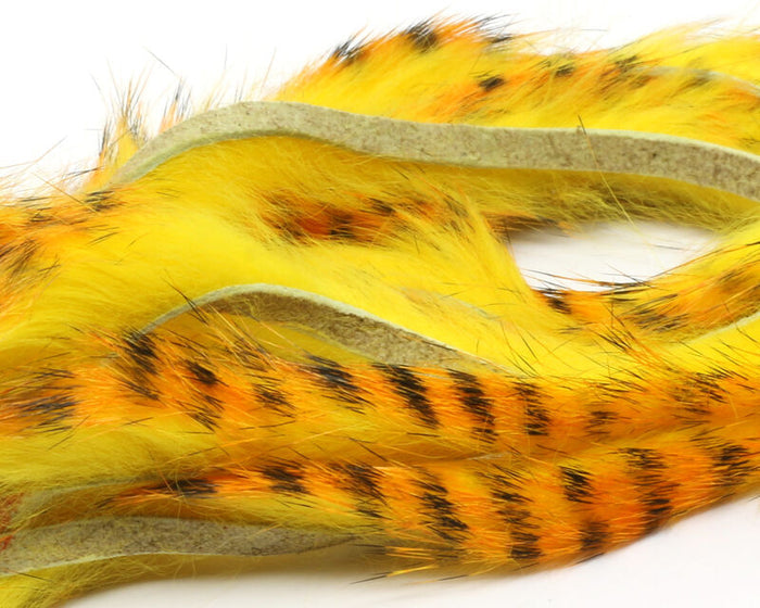 Yellow/Golden Orange Barred Black
