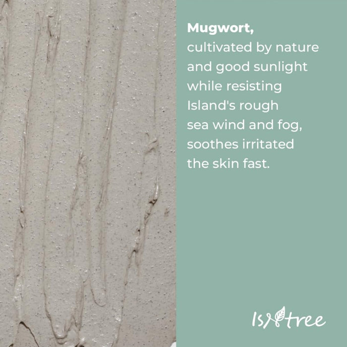 IsNtree Mugwort Calming Clay Mask 100ml / 3.38 fl.oz