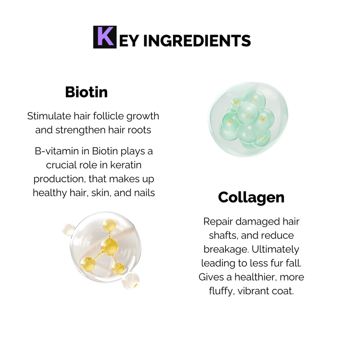 Keratin+ shampoo for dogs key ingredients are Biotin and Collagen