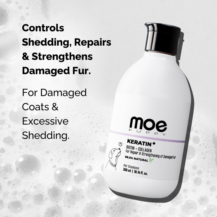 Moe Puppy Keratin+ Hair fall shampoo for dogs control shedding, repair & strengthens damaged fur