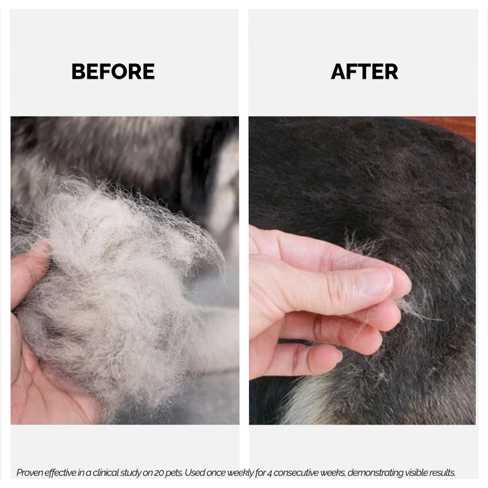 dog hair fall shampoo, dog hair before and after
