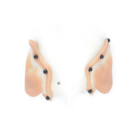 Large Old Age Earlobes 1