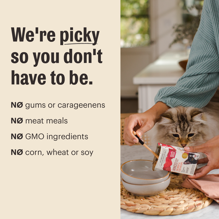 Someone pours The Honest Kitchen Mousse Wet Cat Food with Goats Milk into a bowl for a fluffy cat. No gums, carrageenans, meat meals, GMOs, corn, wheat or soy. Were picky so you dont have to be. Variety Pack shown.