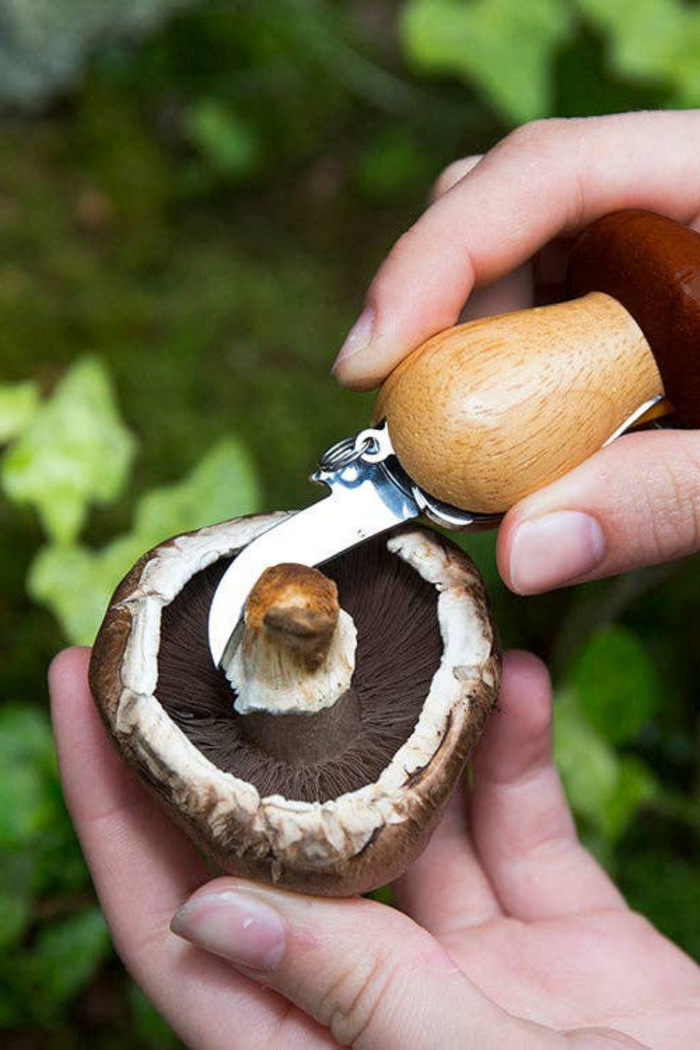 Kikkerland-Mushroom-Tool-Keychain