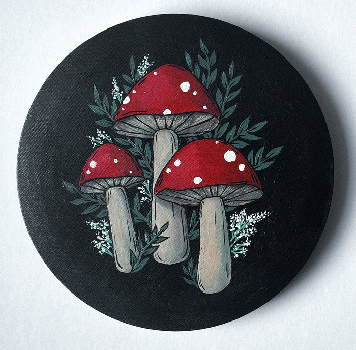 Mushrooms by Kylie Amber